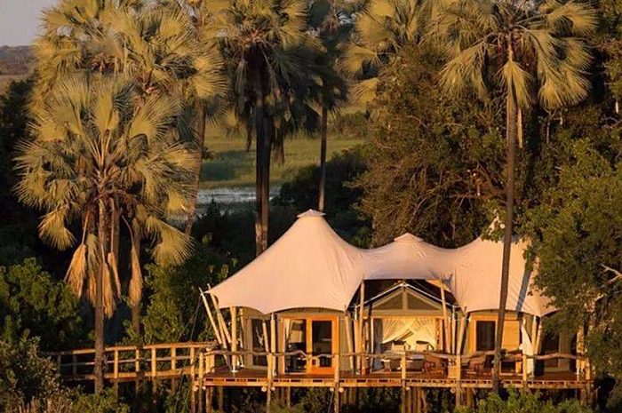 Multi Peak Safari Tent