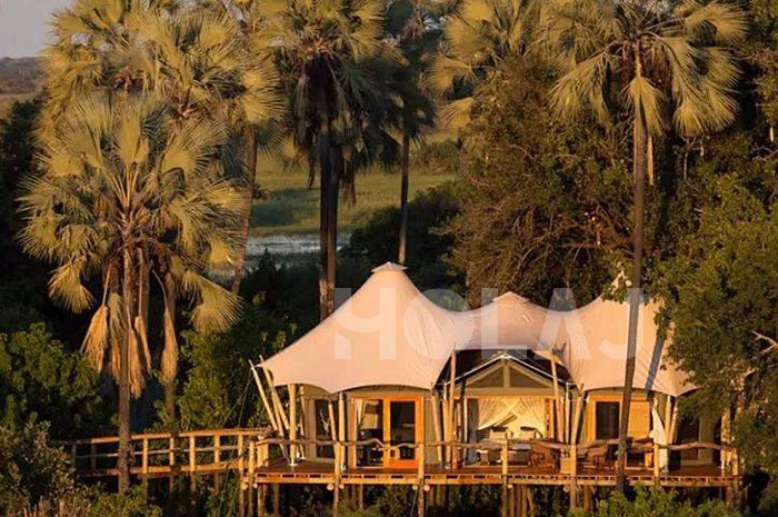 Multi Peak Safari Tent